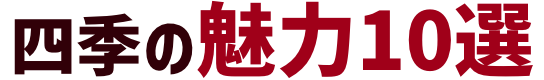 四季の魅力10選